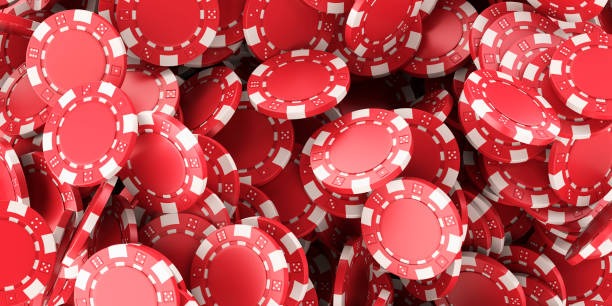 buncis toto Bingo
